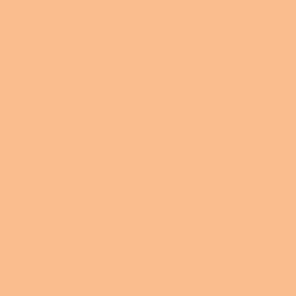 Complexion Stick - Image 18